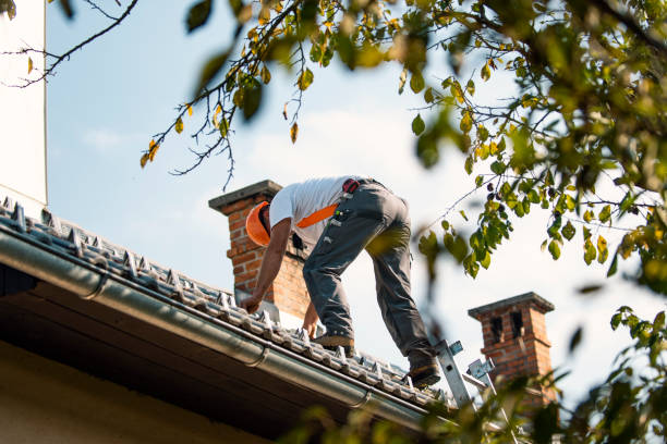 Fast & Reliable Emergency Roof Repairs in Whitley City, KY